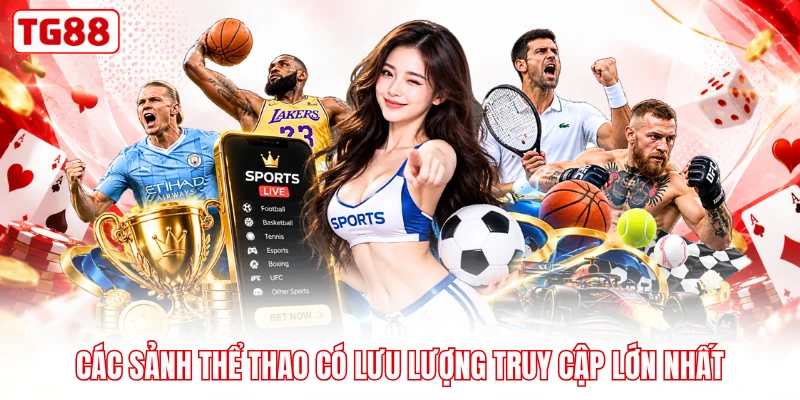 Các sảnh thể thao có lưu lượng truy cập lớn nhất