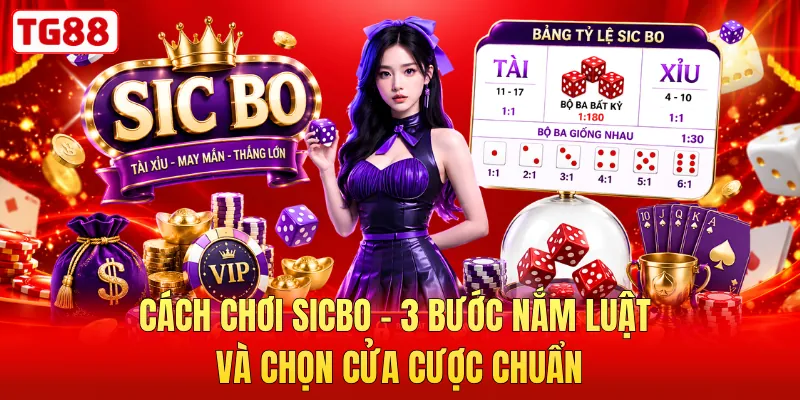 Cách Chơi Sicbo - 3 Bước Nắm Luật Và Chọn Cửa Cược Chuẩn