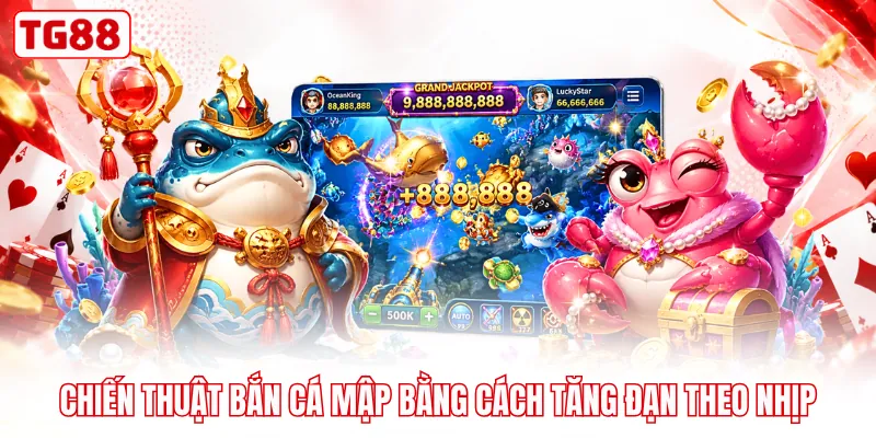 Chiến thuật bắn cá mập bằng cách tăng đạn theo nhịp