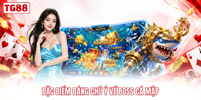 Đặc điểm đáng chú ý về boss cá mập